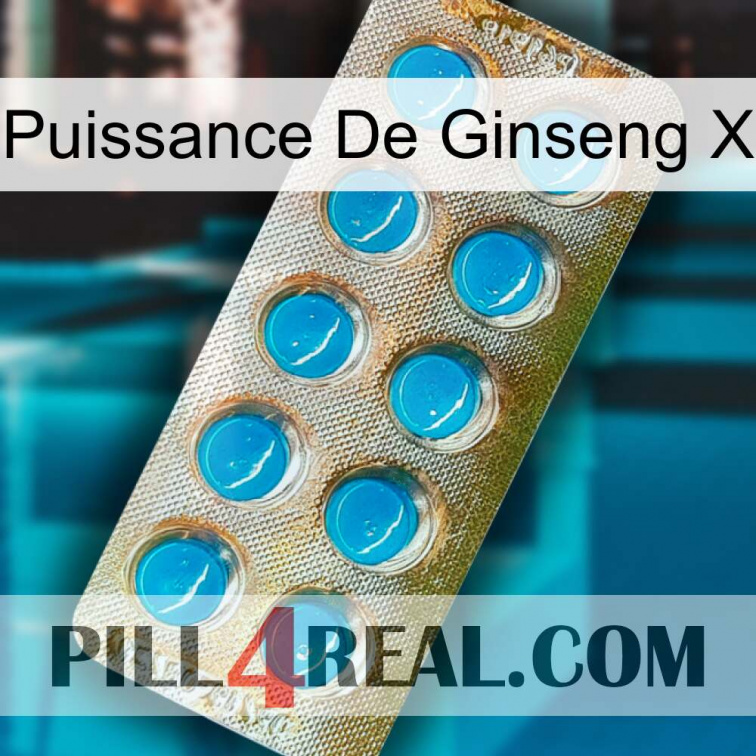 Ginseng Power X new09